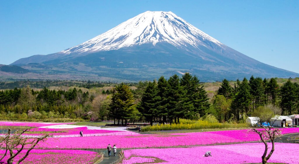 Best Japan Pre/Post Cruise Tour Mount Fuji
