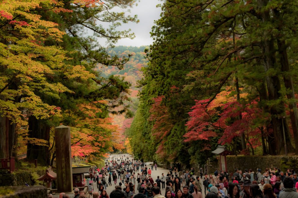 Autumn in Japan