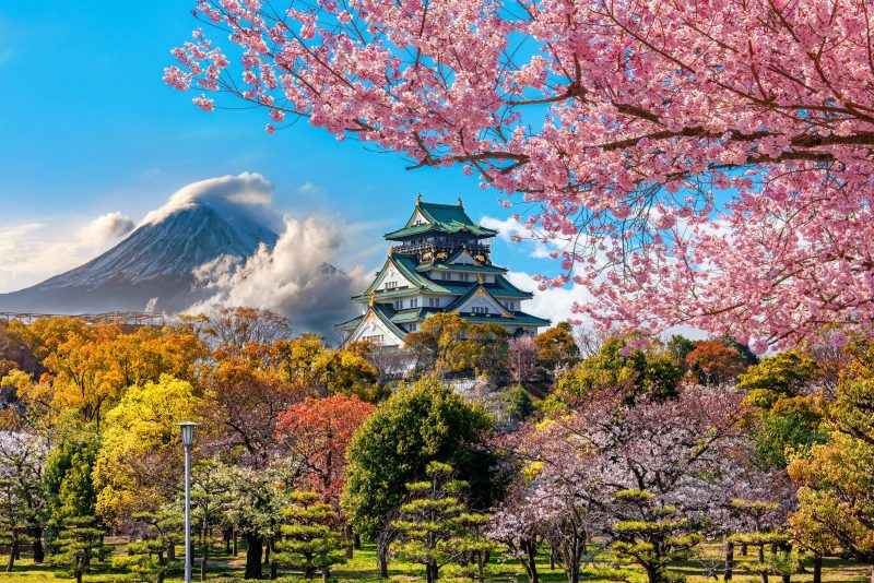 The castle of Osaka