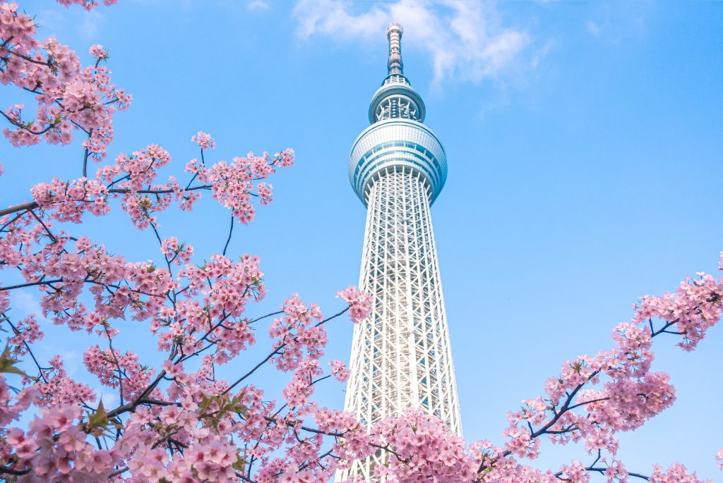 tokyo skytree things to do