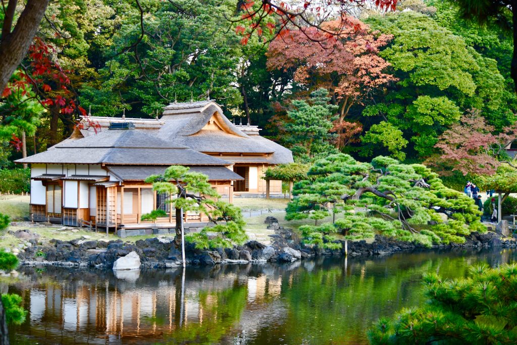 best guided tours of tokyo