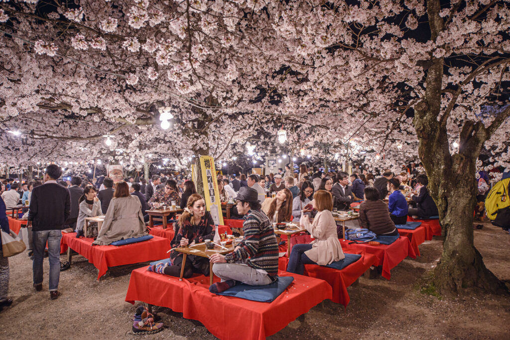 Japan in April Sakura Hanami