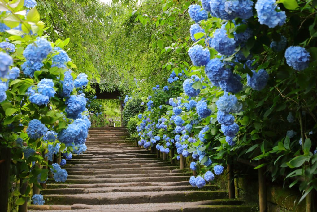 weather in june in japan