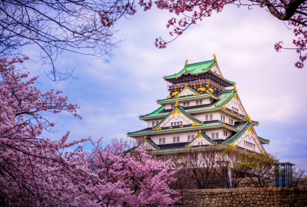 osaka castle cherry blossoms