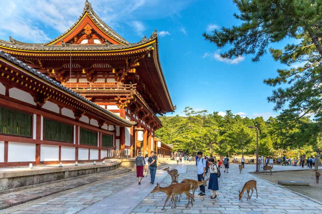 Locals and tourists playing with friendly deer near a temple in Nara Japan