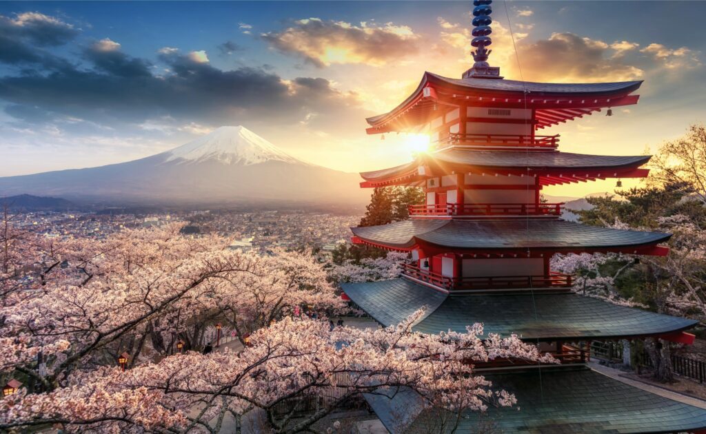 mount fuji tour from tokyo