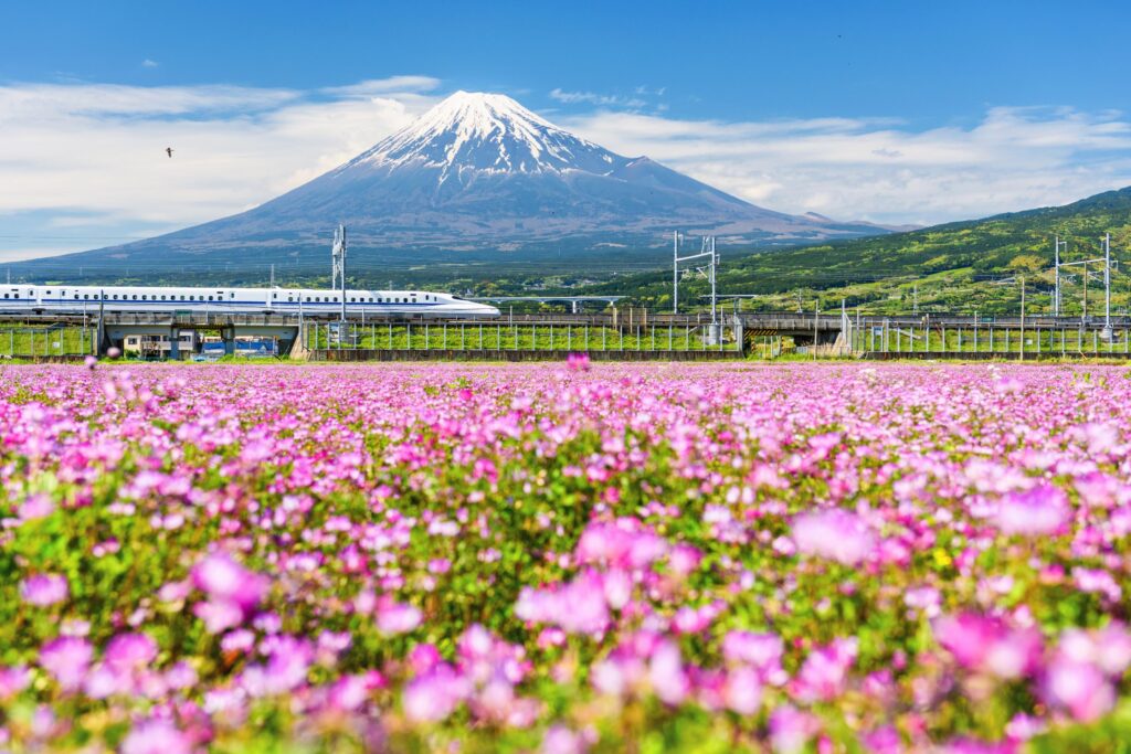 tokyo to kyoto shinkansen